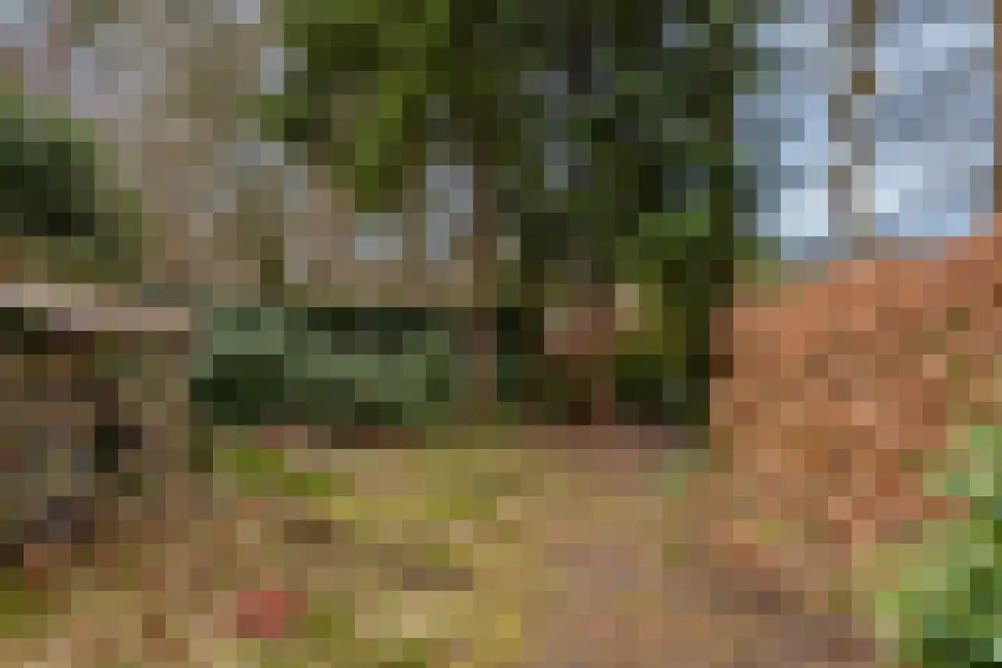Verlengde Haerderweg 5 R 13 Doornspijk thumbnail 29
