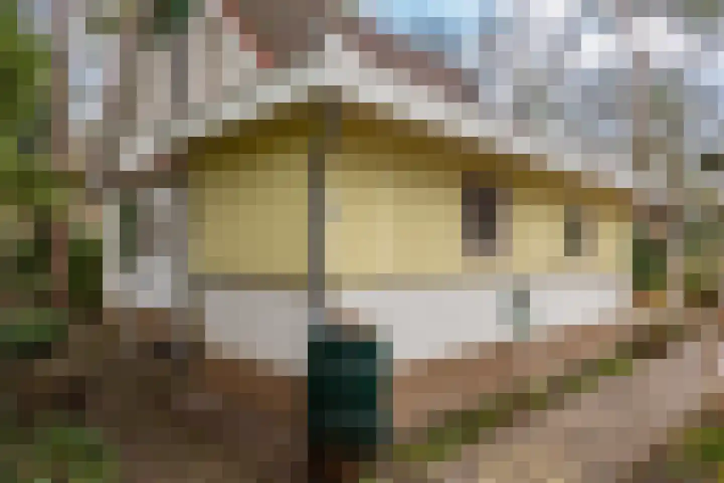 Verlengde Haerderweg 5 R 13 Doornspijk thumbnail 30