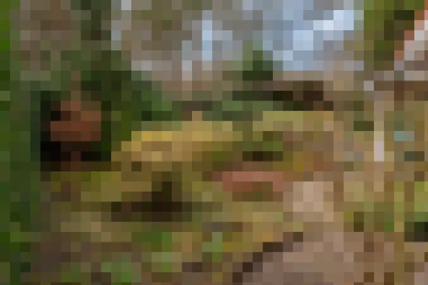 Verlengde Haerderweg 5 R 13 Doornspijk thumbnail 34