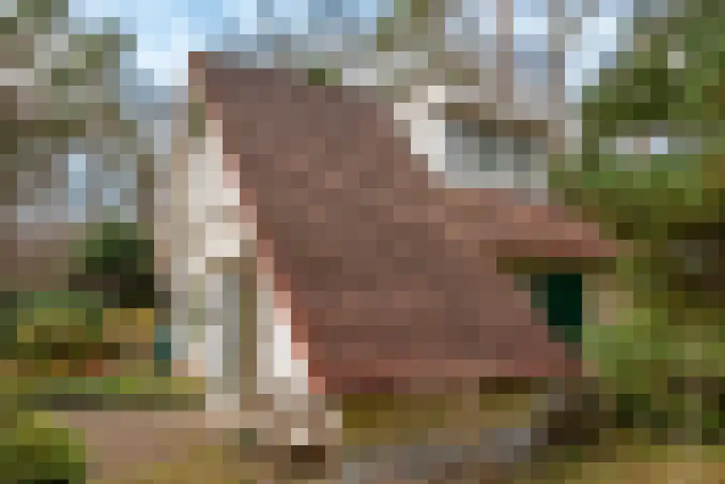 Verlengde Haerderweg 5 R 13 Doornspijk thumbnail 36