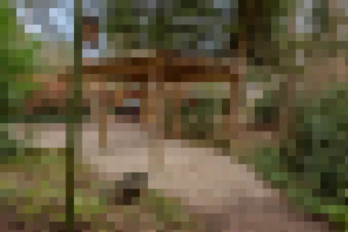 Verlengde Haerderweg 5 R 13 Doornspijk thumbnail 37