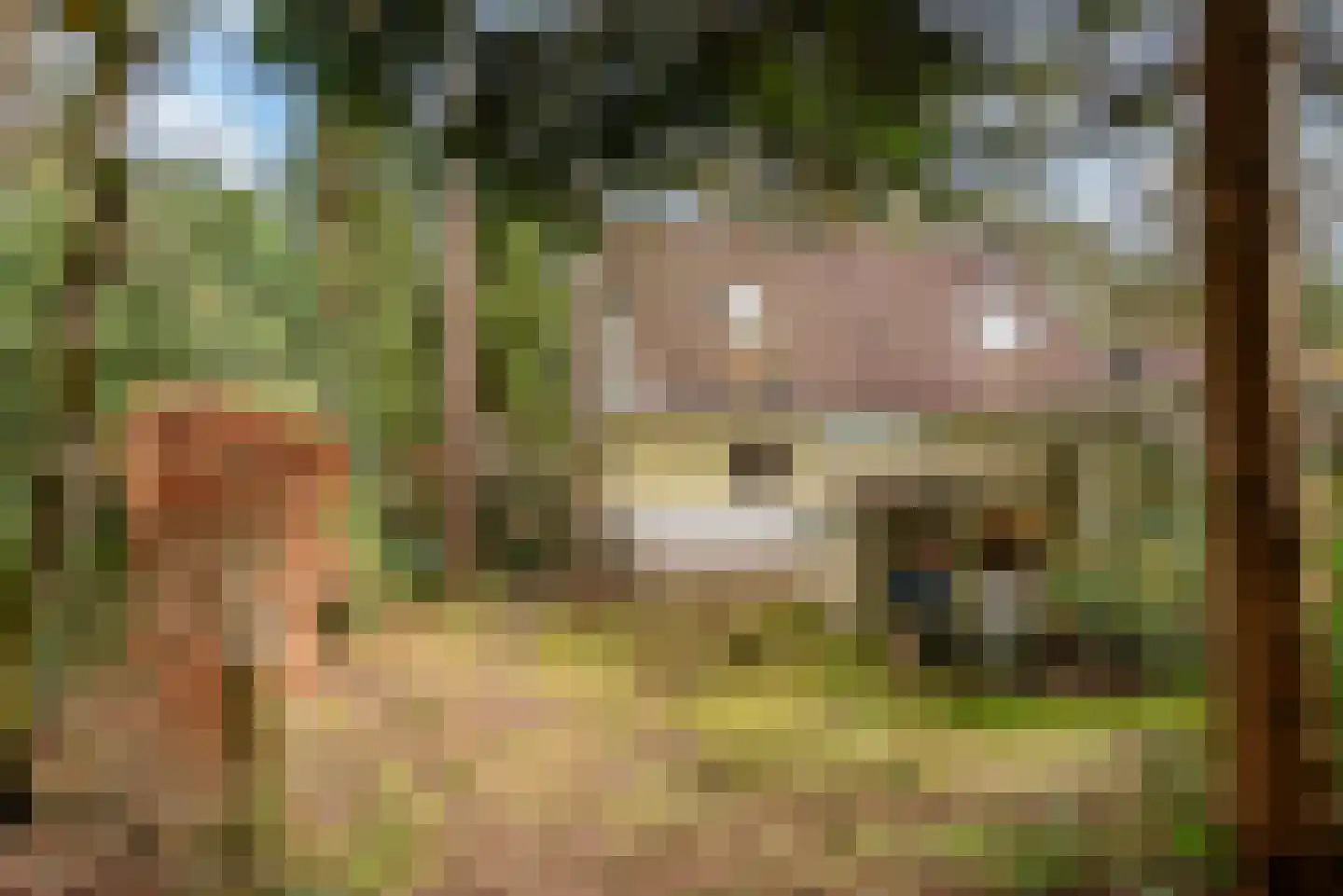 Verlengde Haerderweg 5 R 13 Doornspijk thumbnail 40