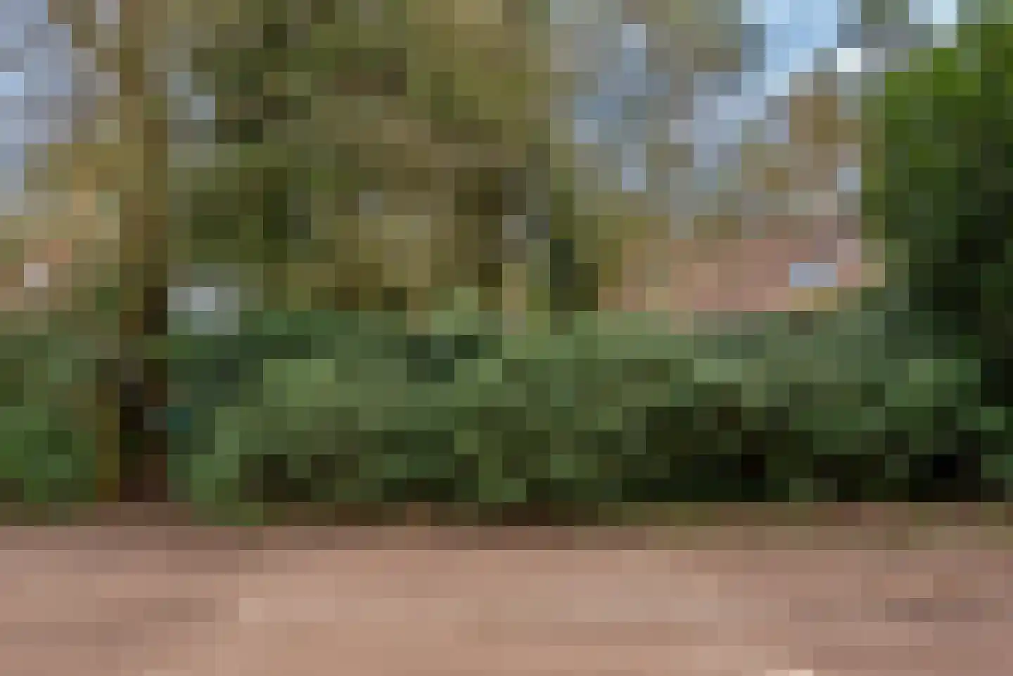 Verlengde Haerderweg 5 R 13 Doornspijk thumbnail 41