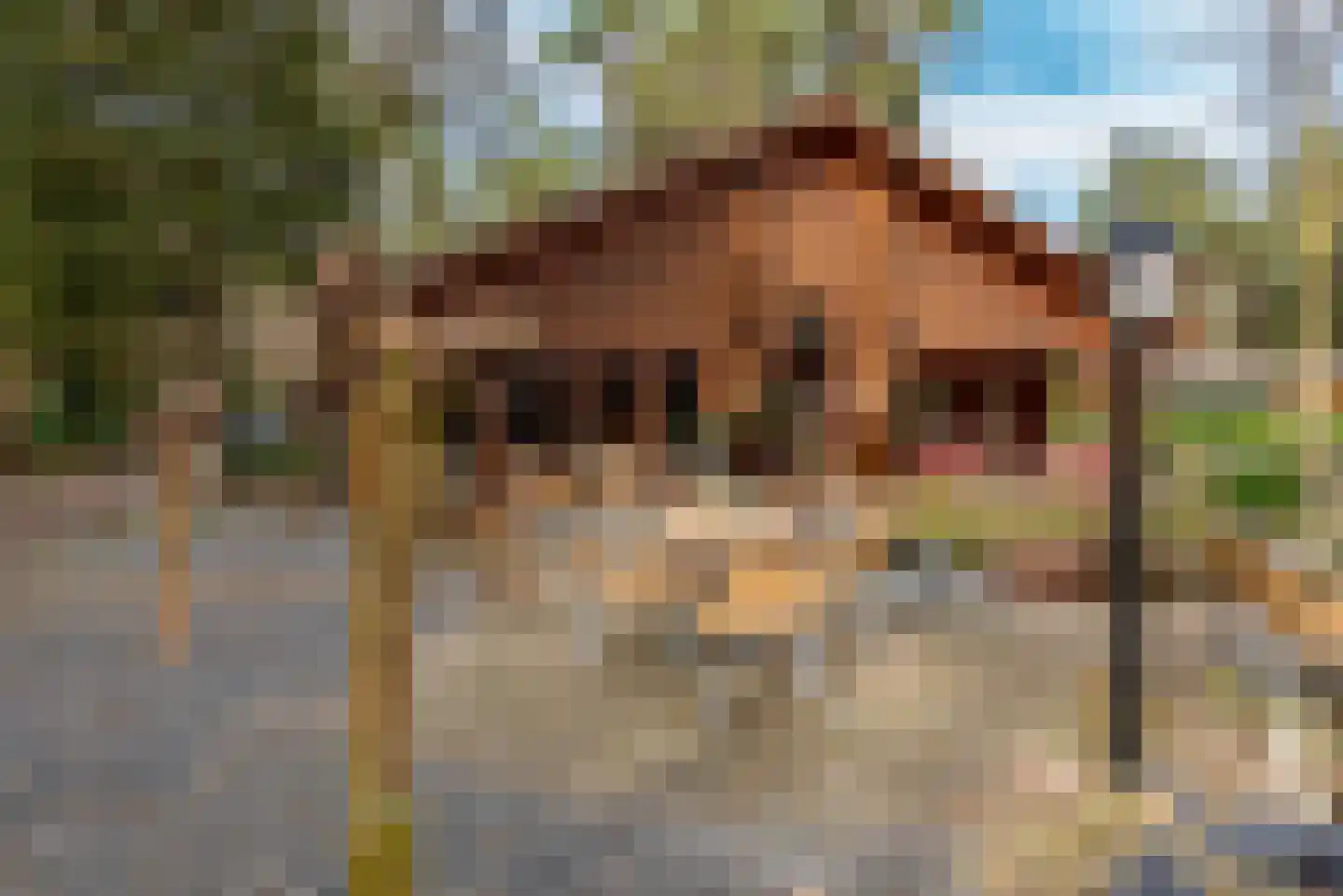 Verlengde Haerderweg 5 R 13 Doornspijk thumbnail 47