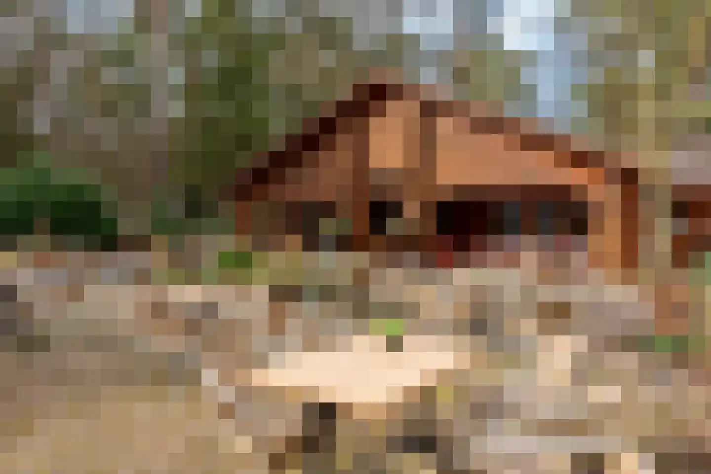 Verlengde Haerderweg 5 R 13 Doornspijk thumbnail 48