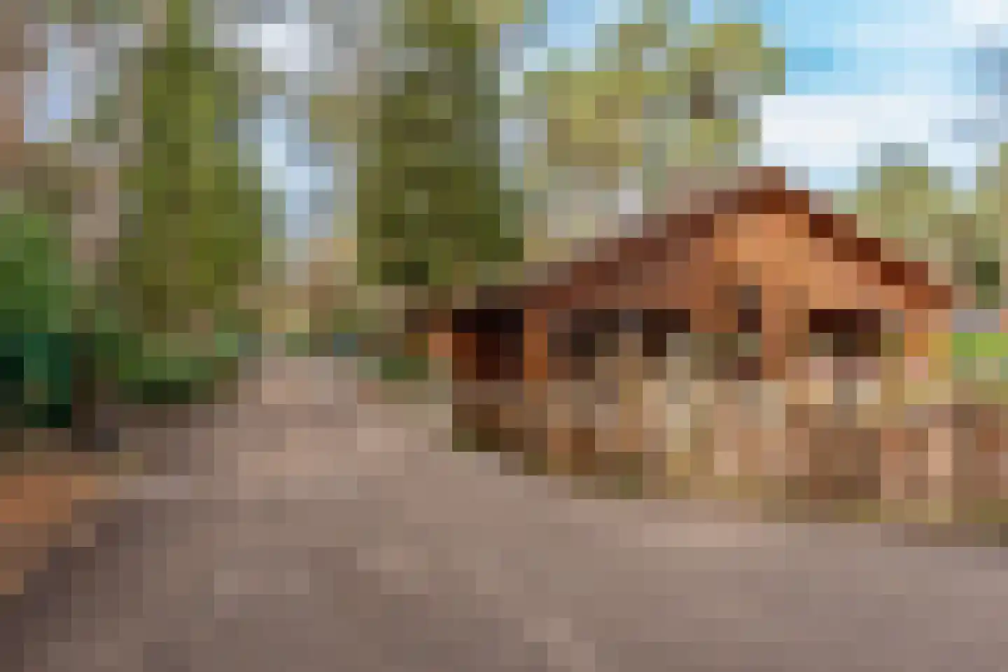 Verlengde Haerderweg 5 R 13 Doornspijk thumbnail 52