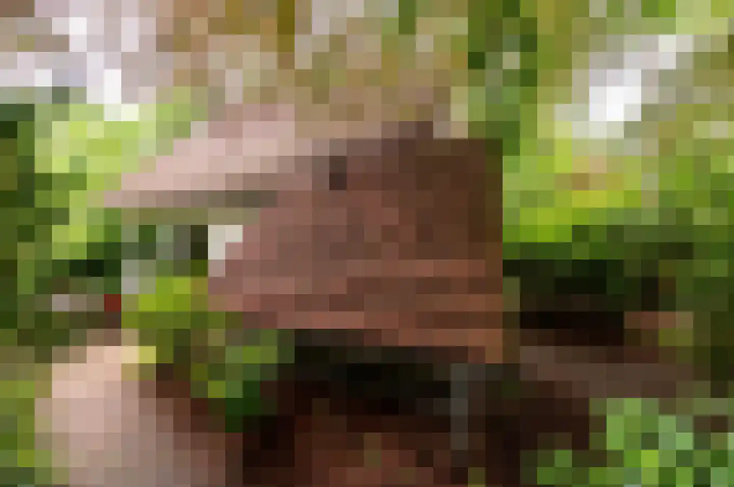 Verlengde Haerderweg 5 R 17 Doornspijk thumbnail 32