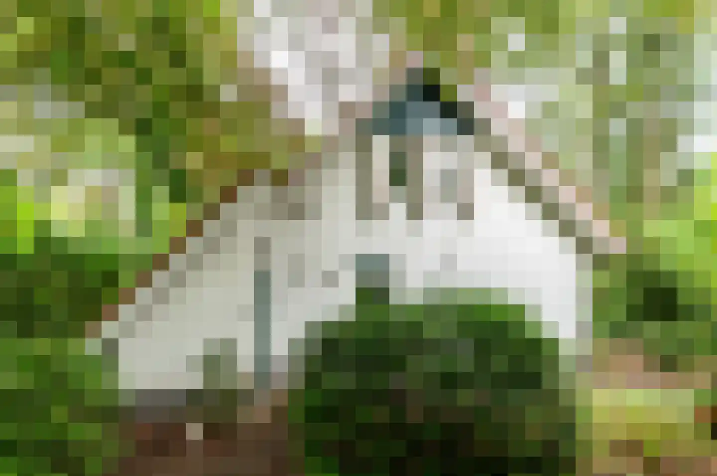Verlengde Haerderweg 5 R 17 Doornspijk thumbnail 34