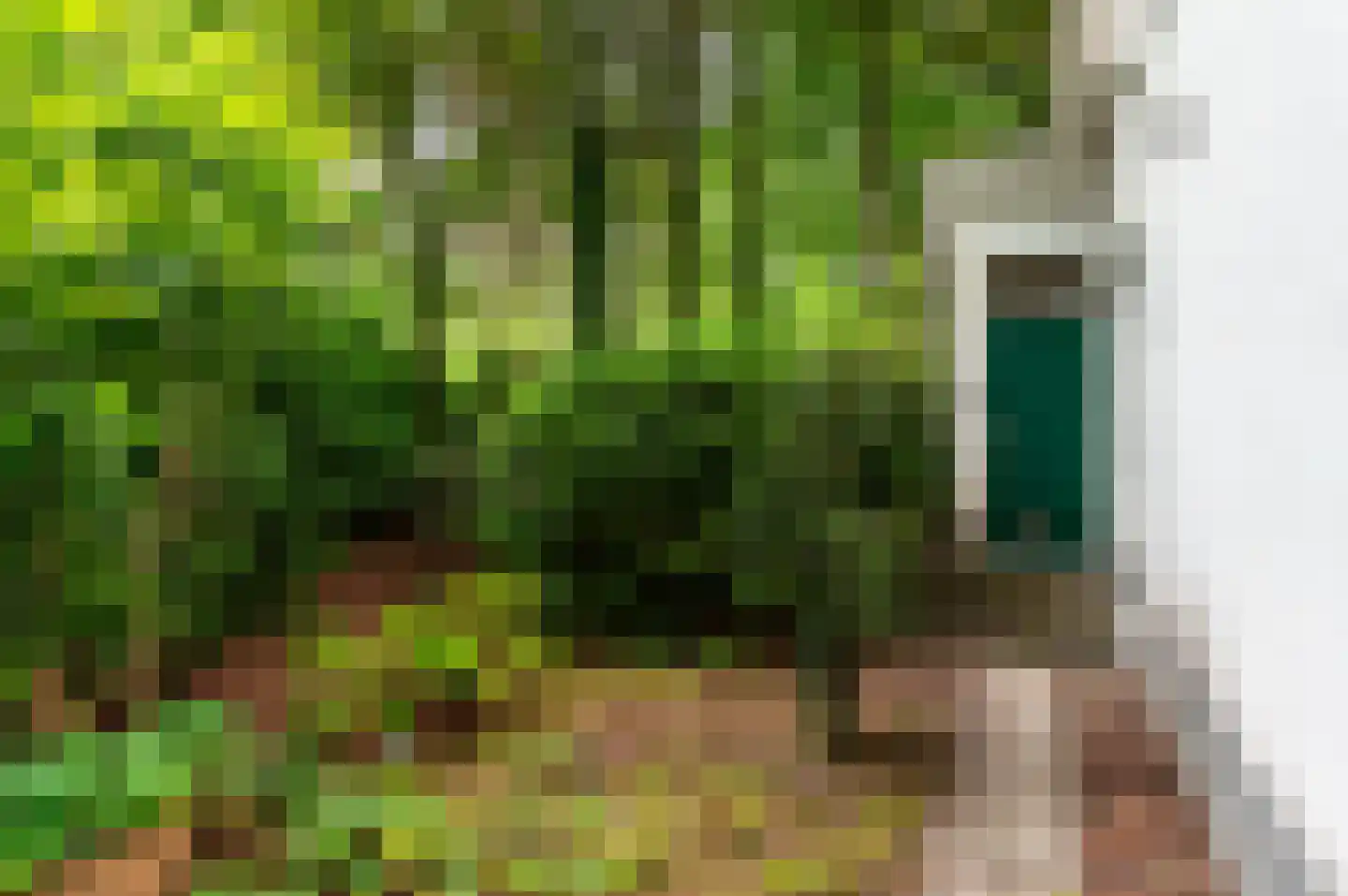 Verlengde Haerderweg 5 R 17 Doornspijk thumbnail 35
