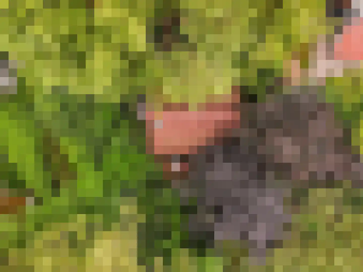 Verlengde Haerderweg 5 R 17 Doornspijk thumbnail 38
