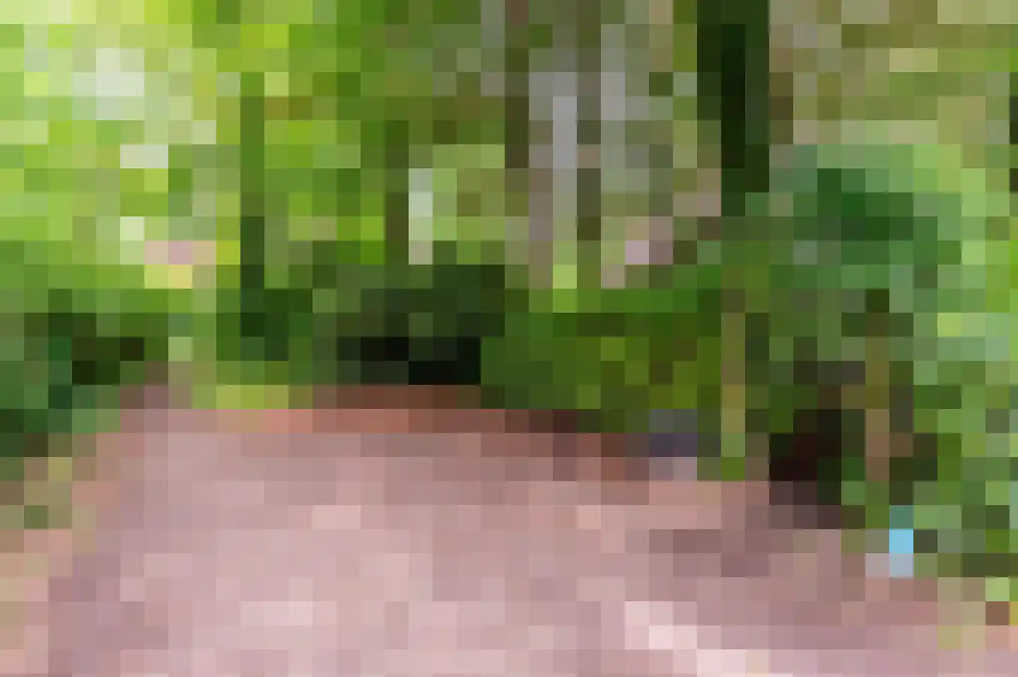 Verlengde Haerderweg 5 R 17 Doornspijk thumbnail 40
