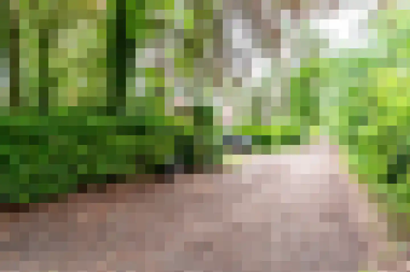 Verlengde Haerderweg 5 R 17 Doornspijk thumbnail 41