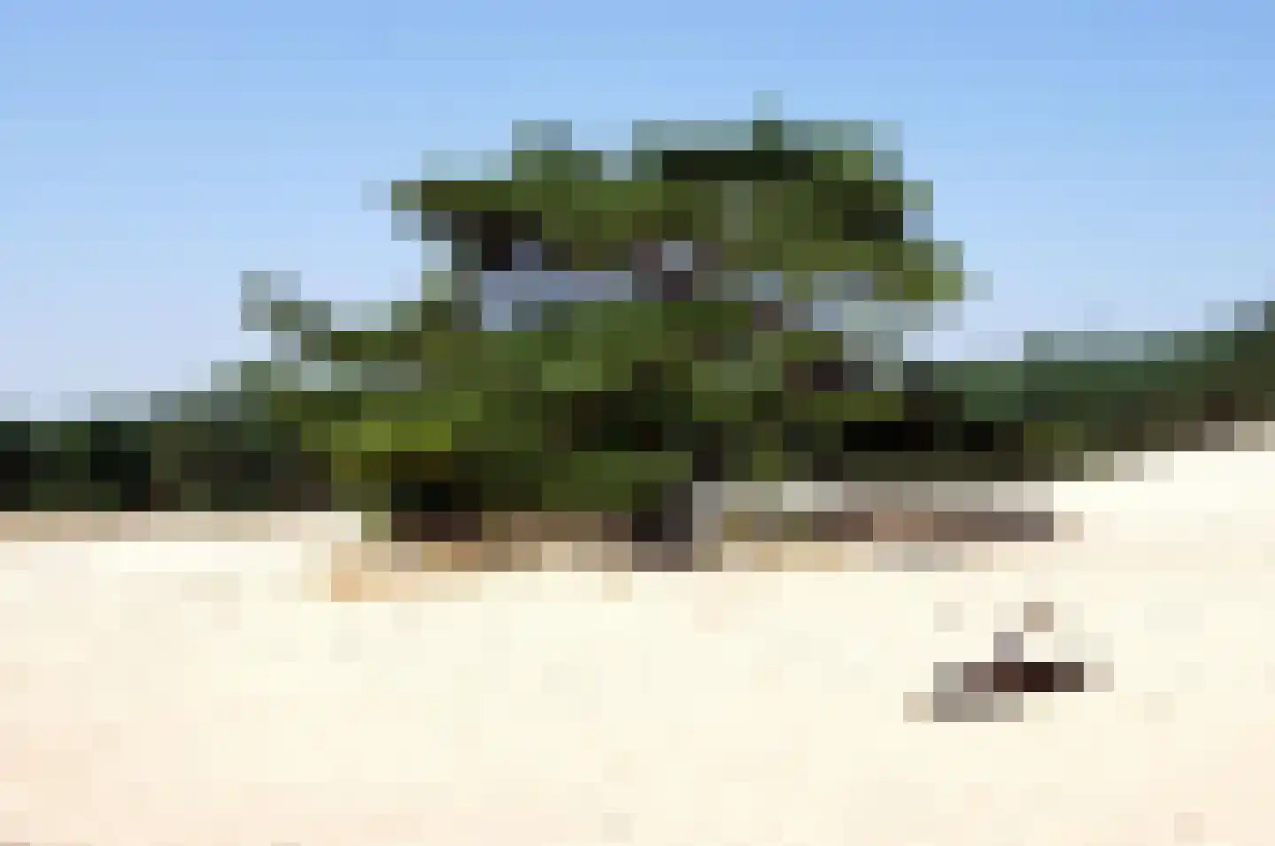 Verlengde Haerderweg 5 R 17 Doornspijk thumbnail 43