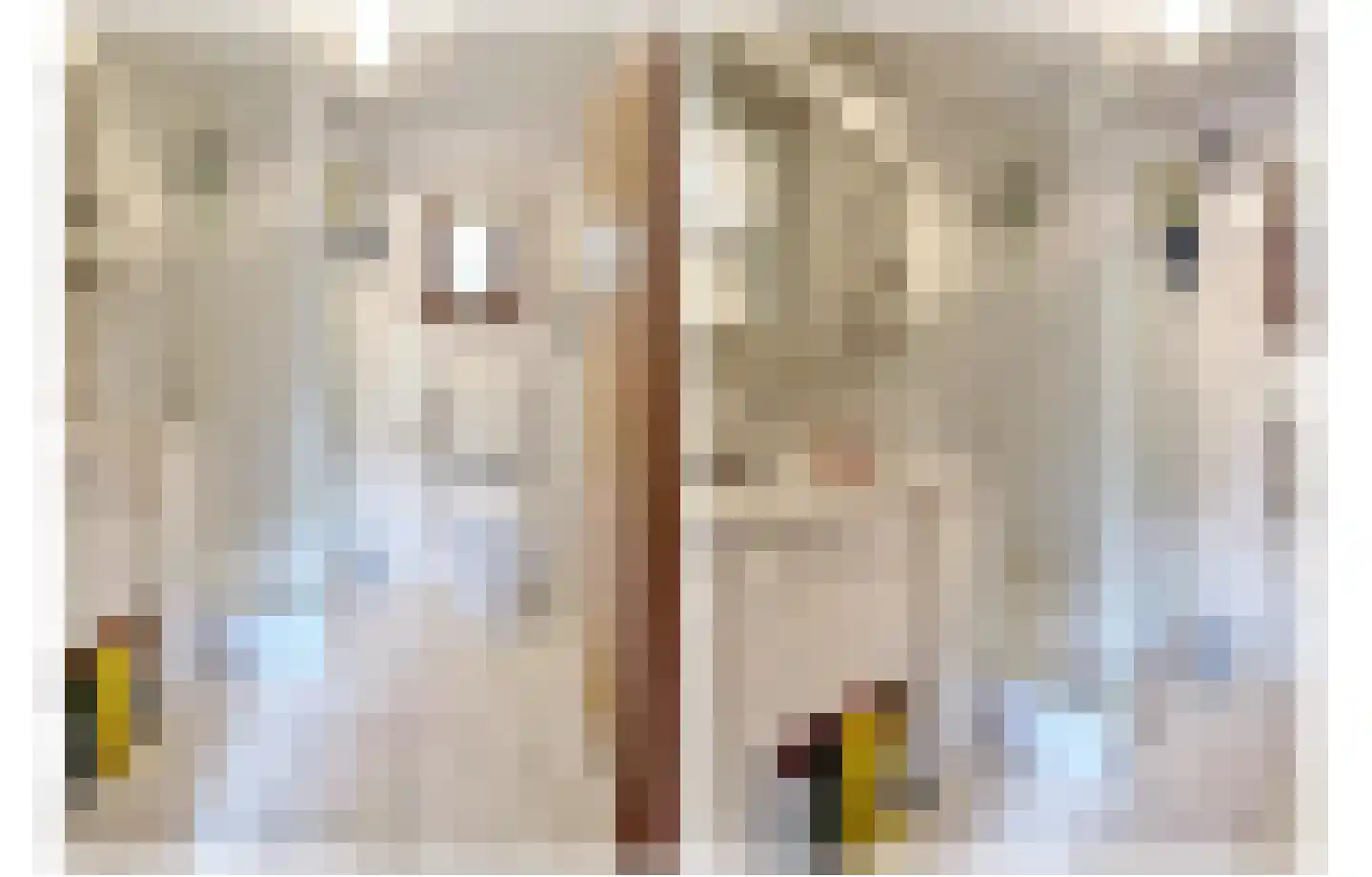 Verlengde Haerderweg 5 R A3 Doornspijk thumbnail 11