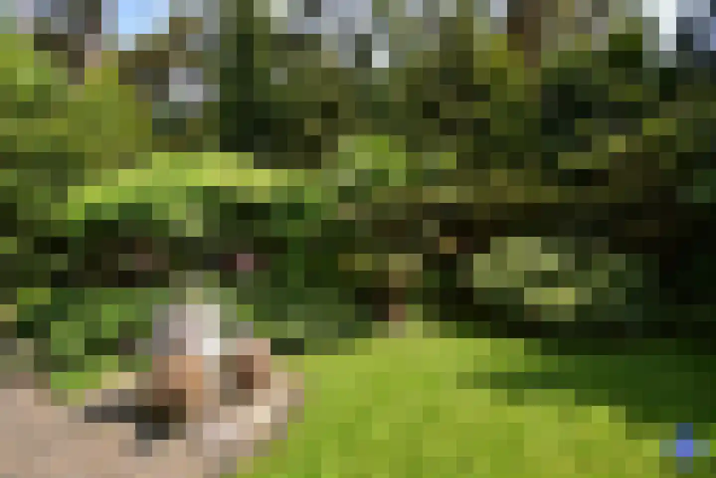 Verlengde Haerderweg 5 R C17 Doornspijk thumbnail 18