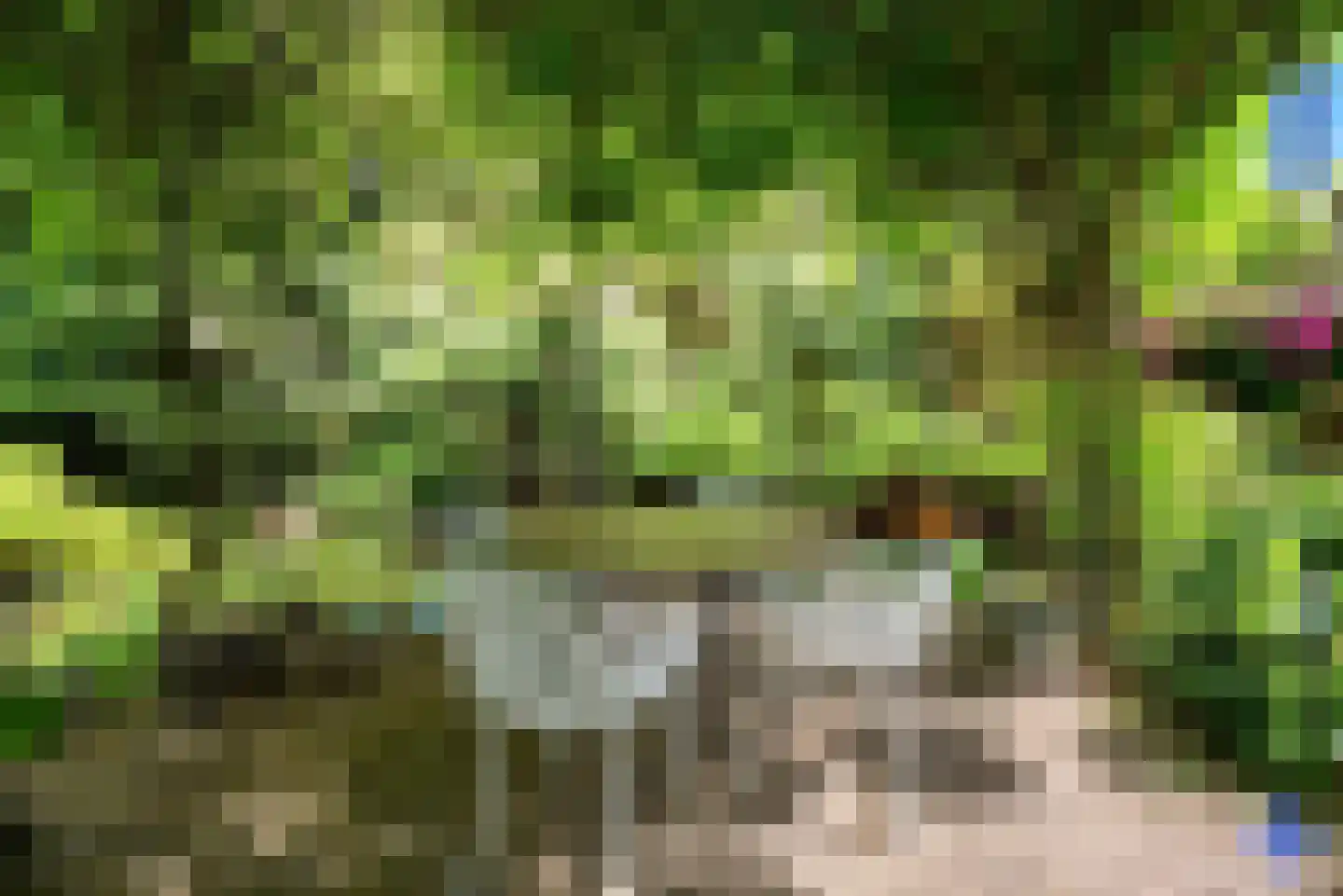 Verlengde Haerderweg 5 R C17 Doornspijk thumbnail 24