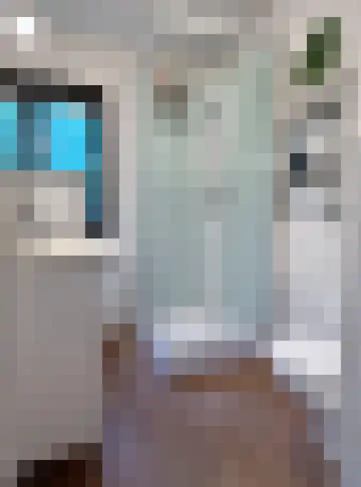 Verlengde Haerderweg 5 R C2 Doornspijk thumbnail 13