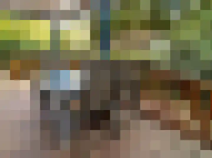 Verlengde Haerderweg 5 R C2 Doornspijk thumbnail 15