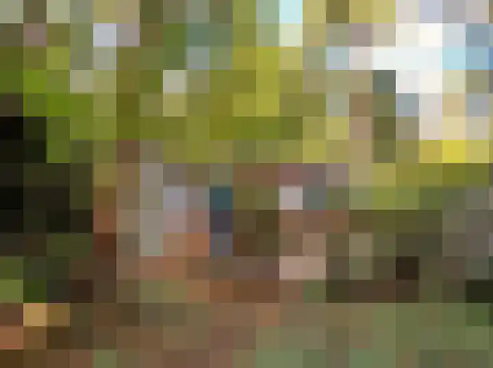 Verlengde Haerderweg 5 R C2 Doornspijk thumbnail 17