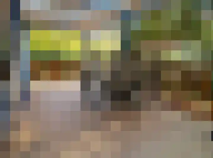 Verlengde Haerderweg 5 R C2 Doornspijk thumbnail 18