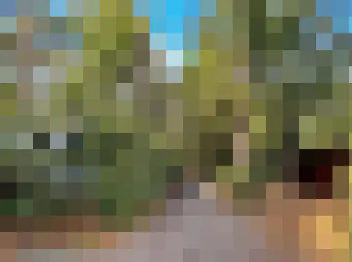 Verlengde Haerderweg 5 R C2 Doornspijk thumbnail 23