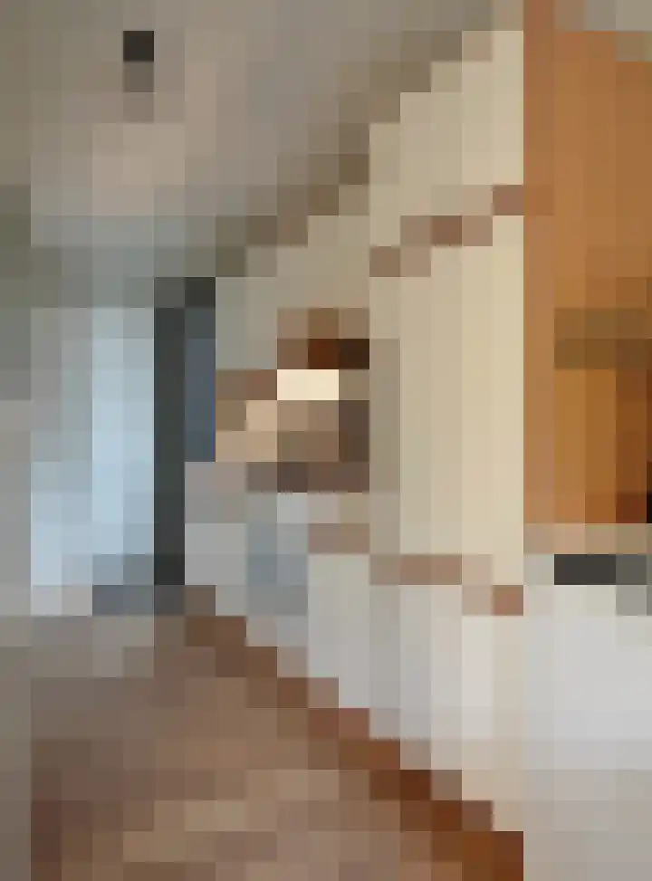 Verlengde Haerderweg 5 R C2 Doornspijk thumbnail 9