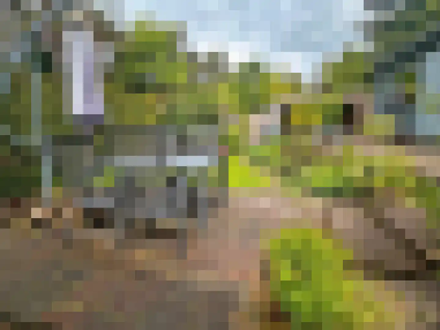 Verlengde Haerderweg 5 R F10 Doornspijk thumbnail 16