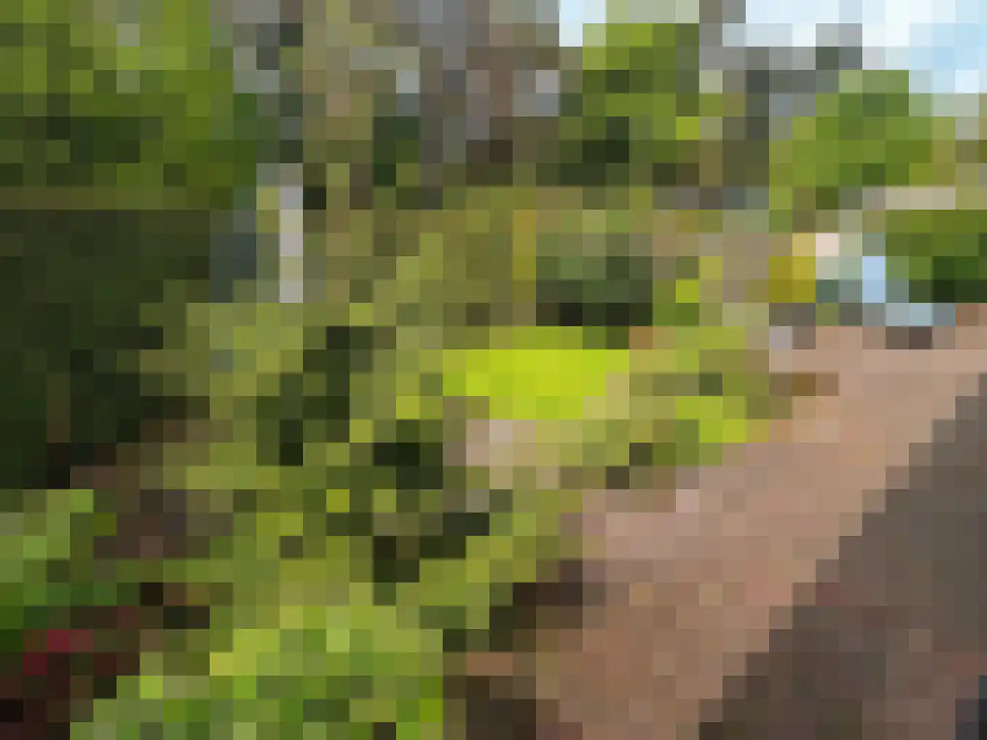 Verlengde Haerderweg 5 R F10 Doornspijk thumbnail 19