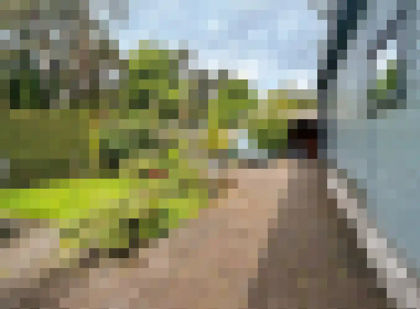 Verlengde Haerderweg 5 R F10 Doornspijk thumbnail 20