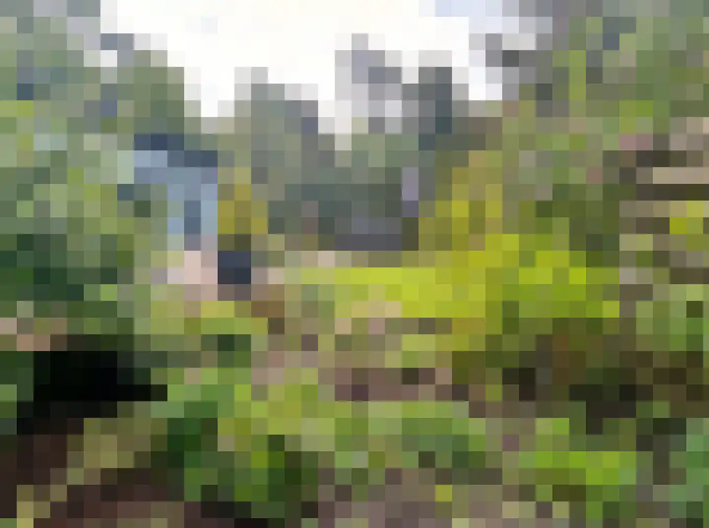 Verlengde Haerderweg 5 R F10 Doornspijk thumbnail 21