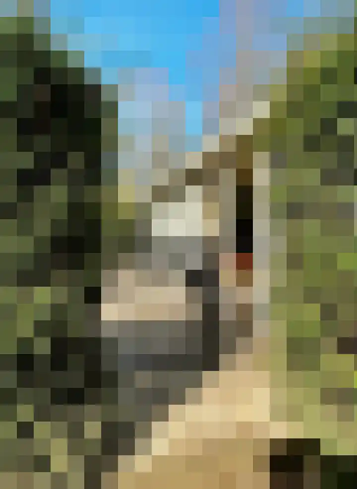 Verlengde Haerderweg 5 R G7 Doornspijk thumbnail 22
