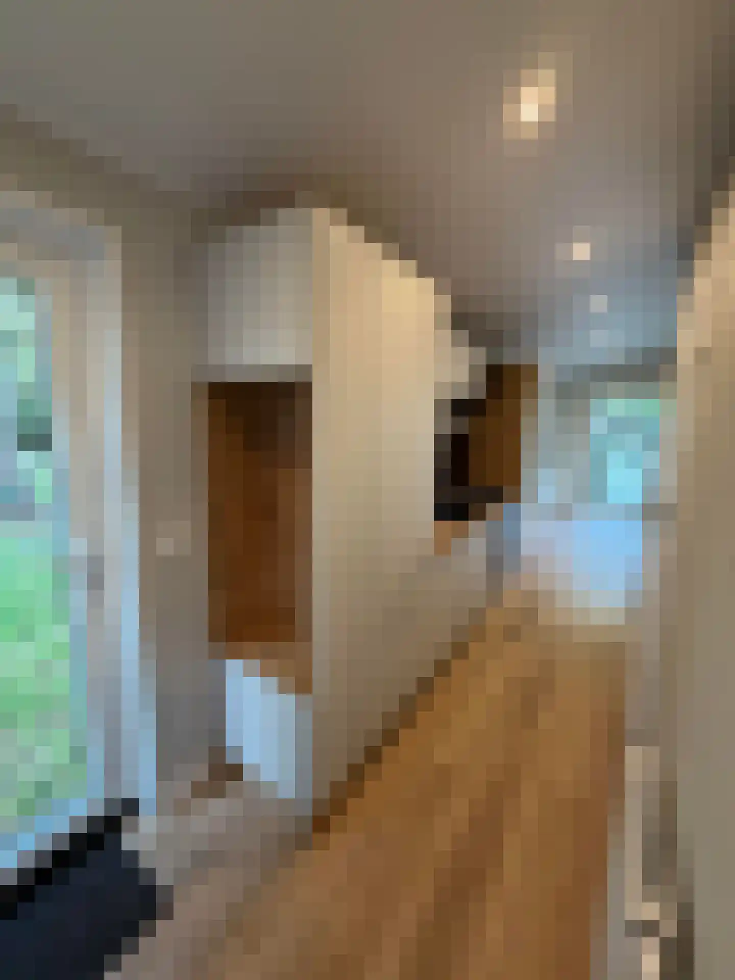 Verlengde Haerderweg 5 R H2 Doornspijk thumbnail 17