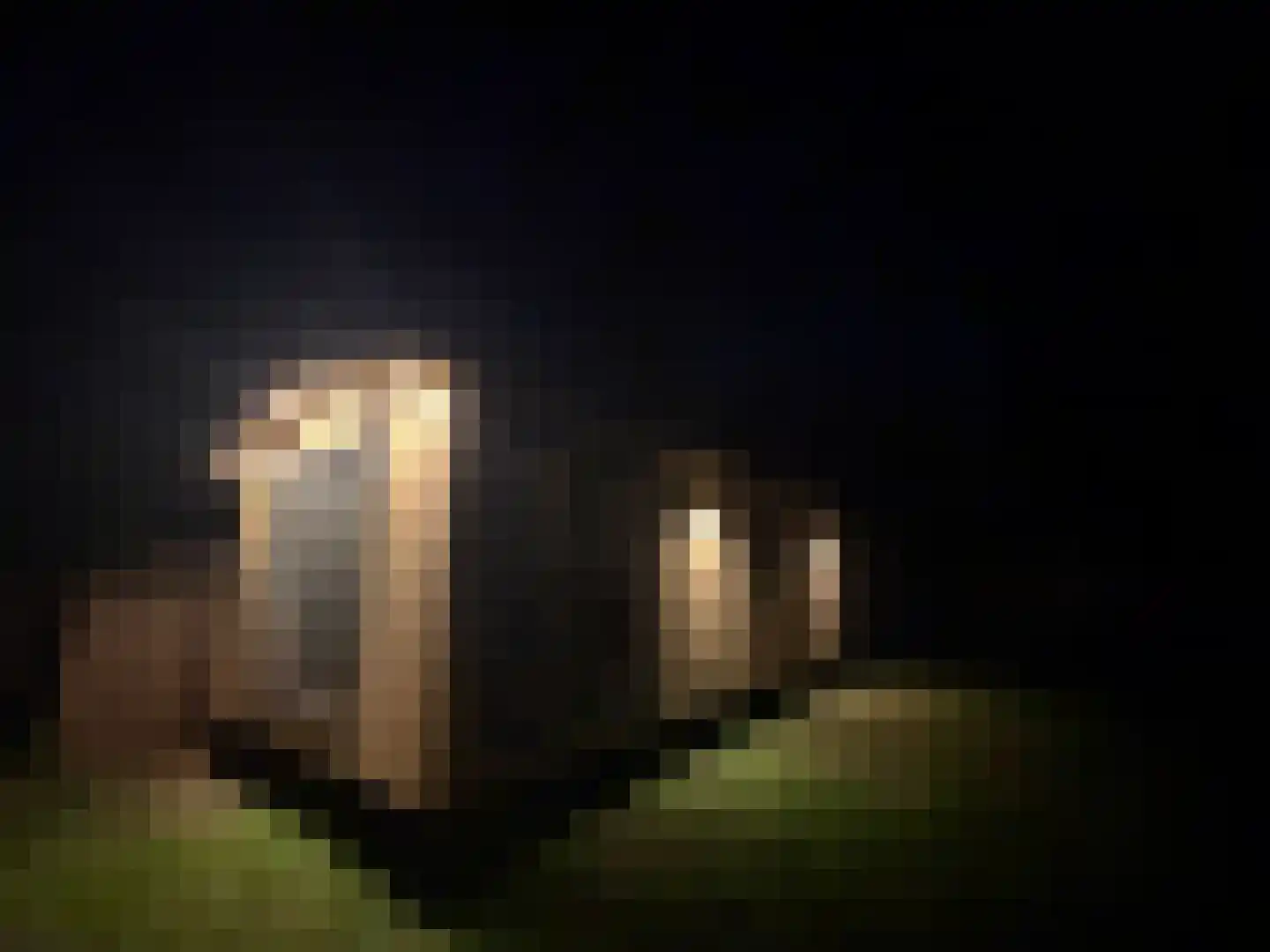 Verlengde Haerderweg 5 R H2 Doornspijk thumbnail 5