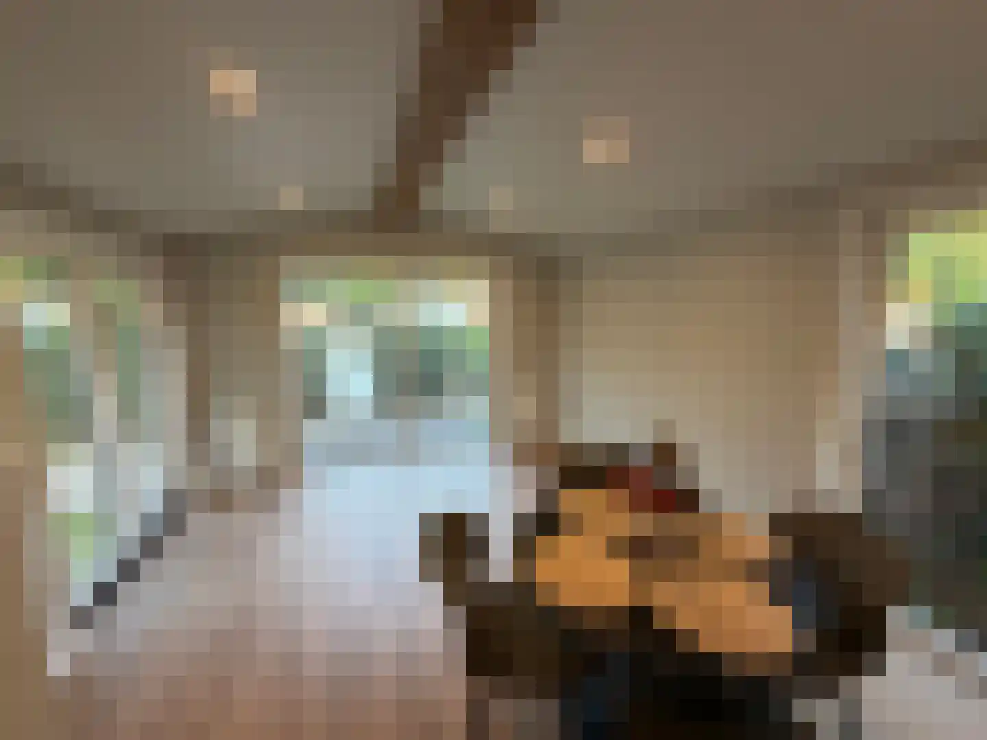 Verlengde Haerderweg 5 R H2 Doornspijk thumbnail 6