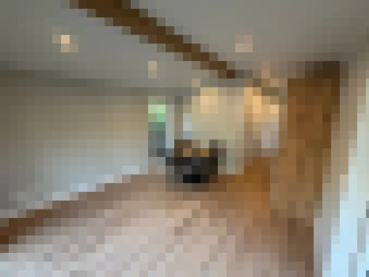 Verlengde Haerderweg 5 R H2 Doornspijk thumbnail 8