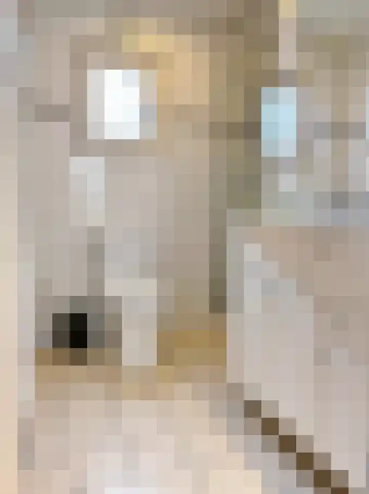 Verlengde Haerderweg 5 R L7 Doornspijk thumbnail 12