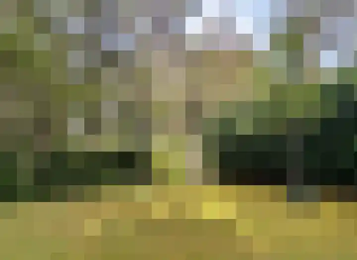 Verlengde Haerderweg 5 R L7 Doornspijk thumbnail 16