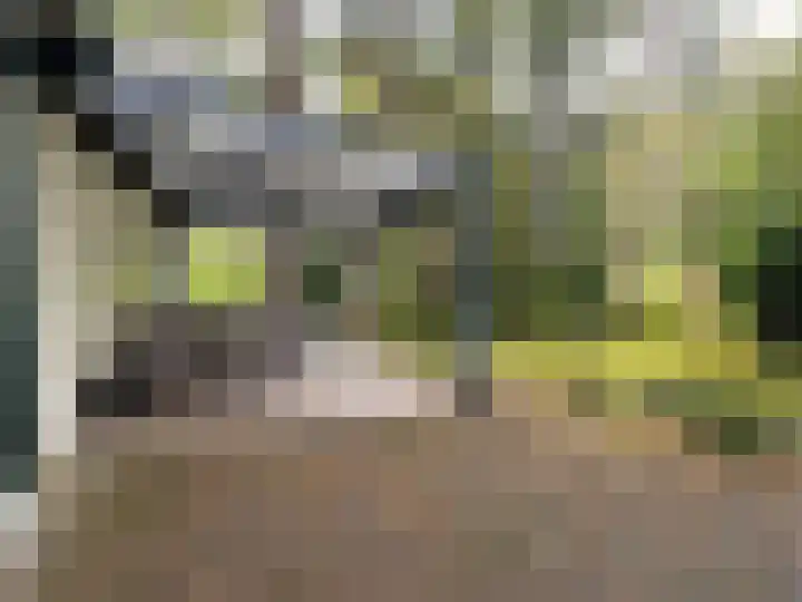 Verlengde Haerderweg 5 R L7 Doornspijk thumbnail 18