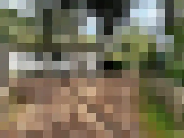 Verlengde Haerderweg 5 R L7 Doornspijk thumbnail 20