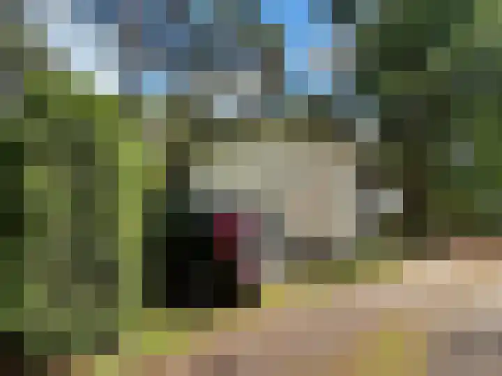 Verlengde Haerderweg 5 R L7 Doornspijk thumbnail 21