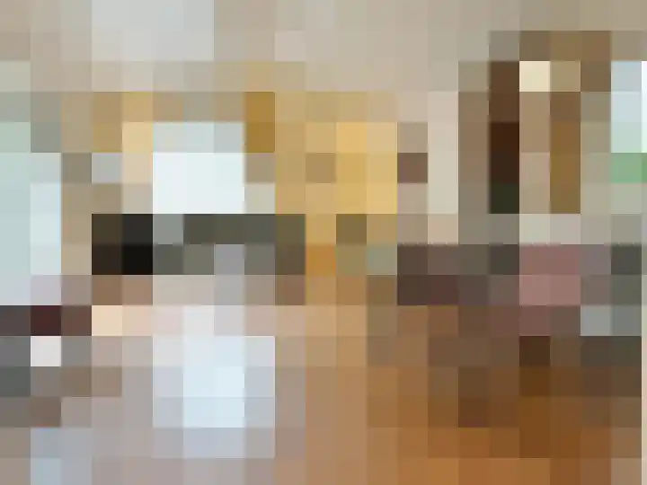 Verlengde Haerderweg 5 R L7 Doornspijk thumbnail 4