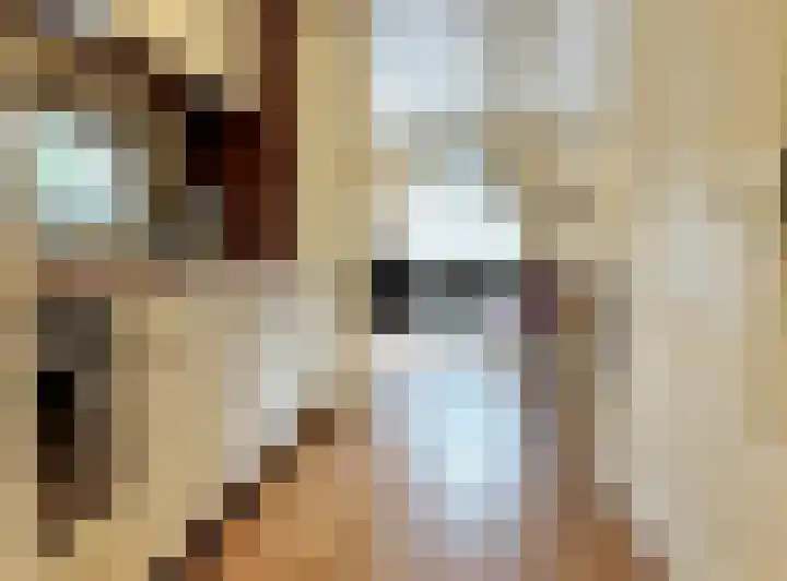 Verlengde Haerderweg 5 R L7 Doornspijk thumbnail 6