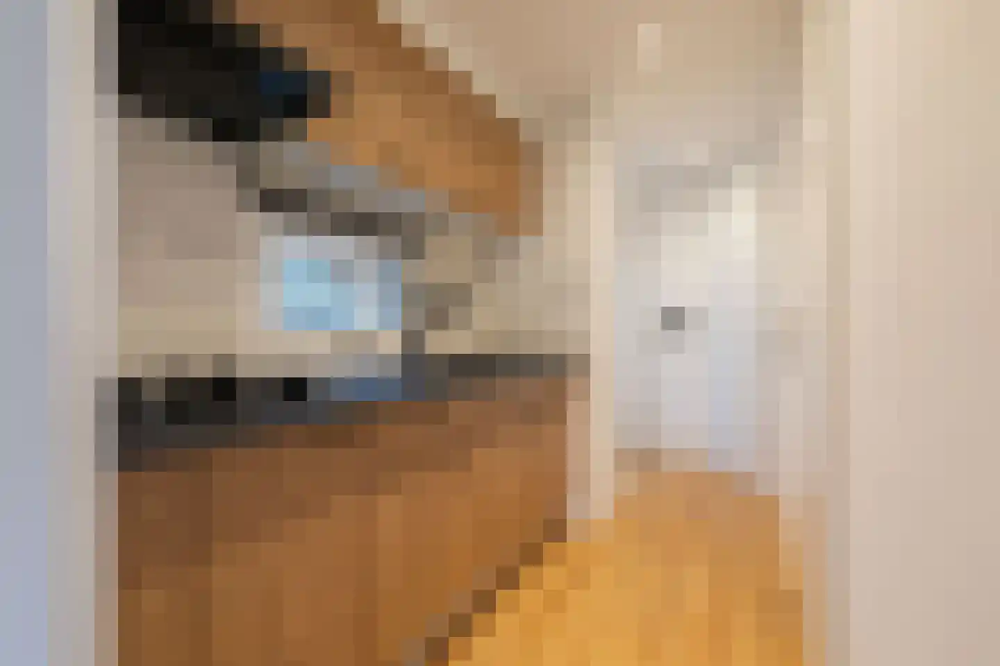 Verlengde Haerderweg 5 R M4A Doornspijk thumbnail 13