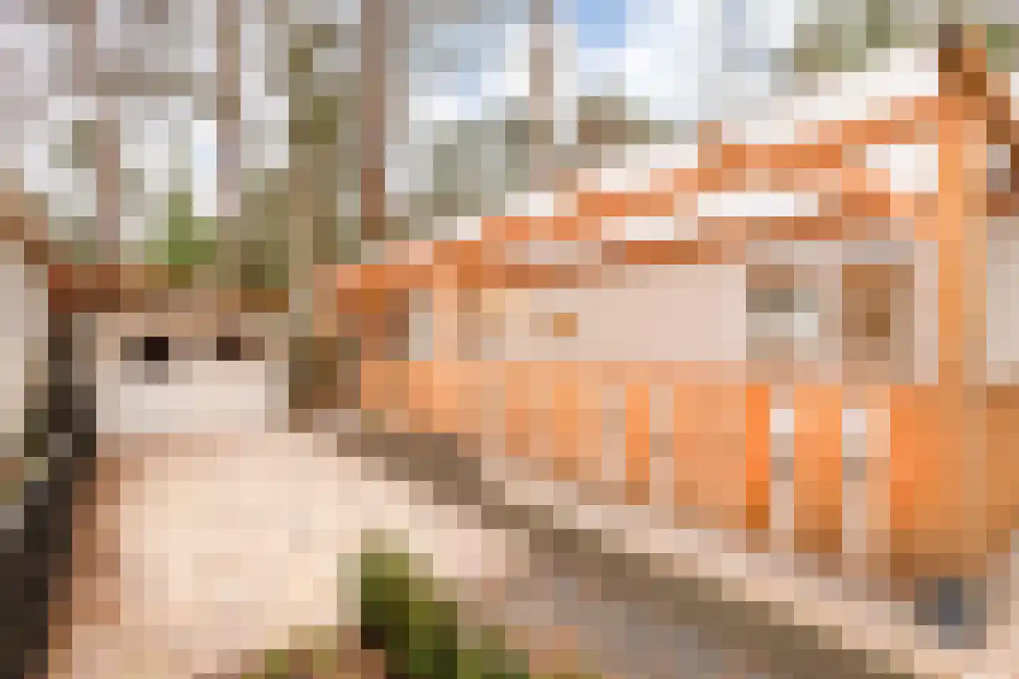 Verlengde Haerderweg 5 R M4A Doornspijk thumbnail 17