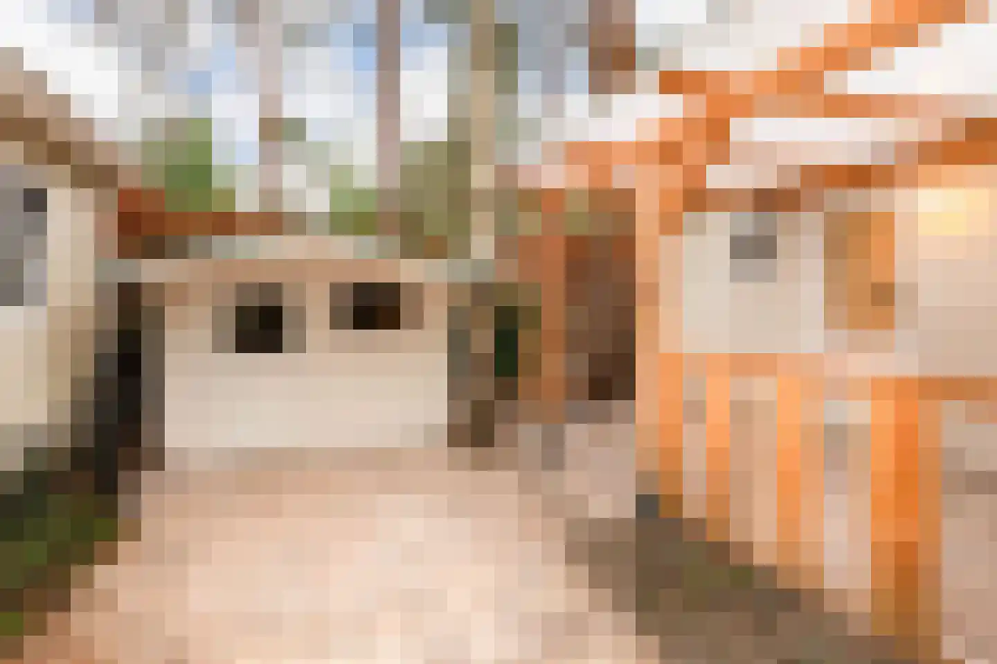 Verlengde Haerderweg 5 R M4A Doornspijk thumbnail 18