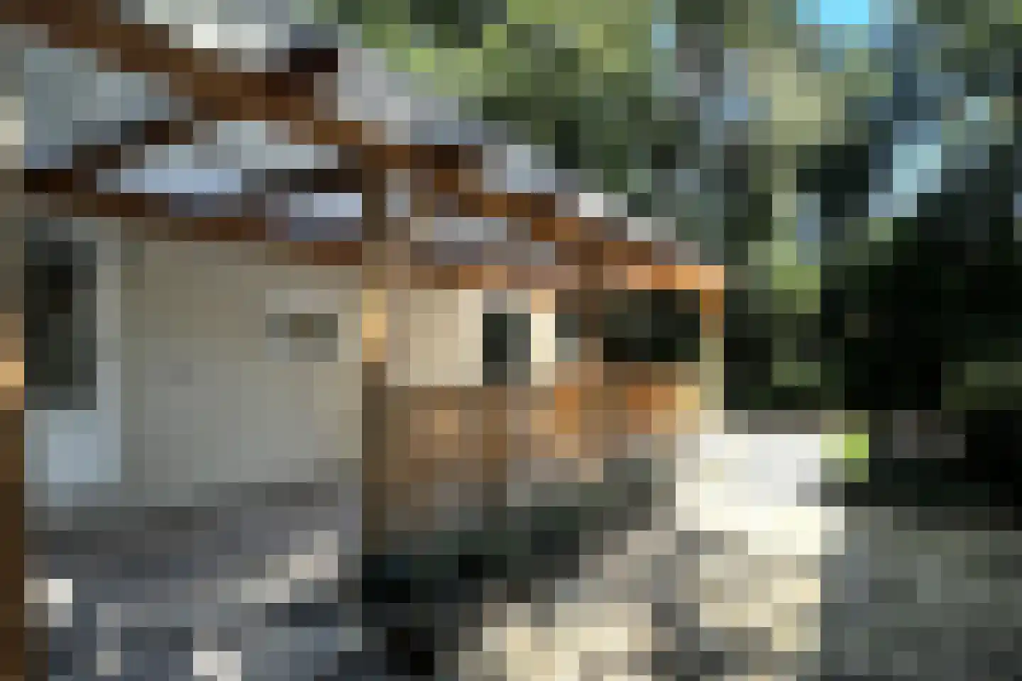 Verlengde Haerderweg 5 R M4A Doornspijk thumbnail 5