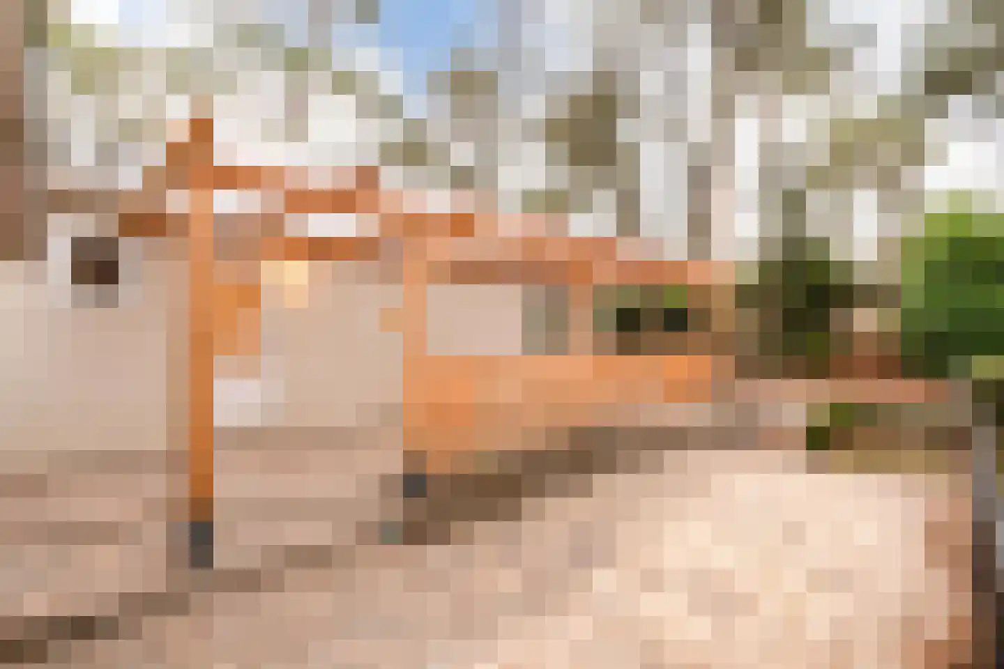 Verlengde Haerderweg 5 R M4A Doornspijk thumbnail 6