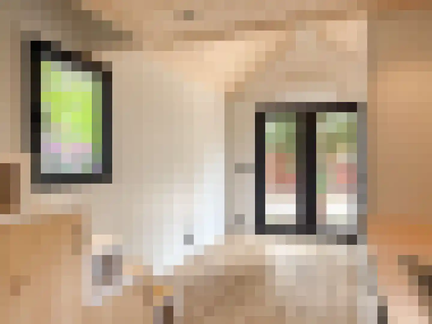 Verlengde Haerderweg 5 R P12 Doornspijk thumbnail 11