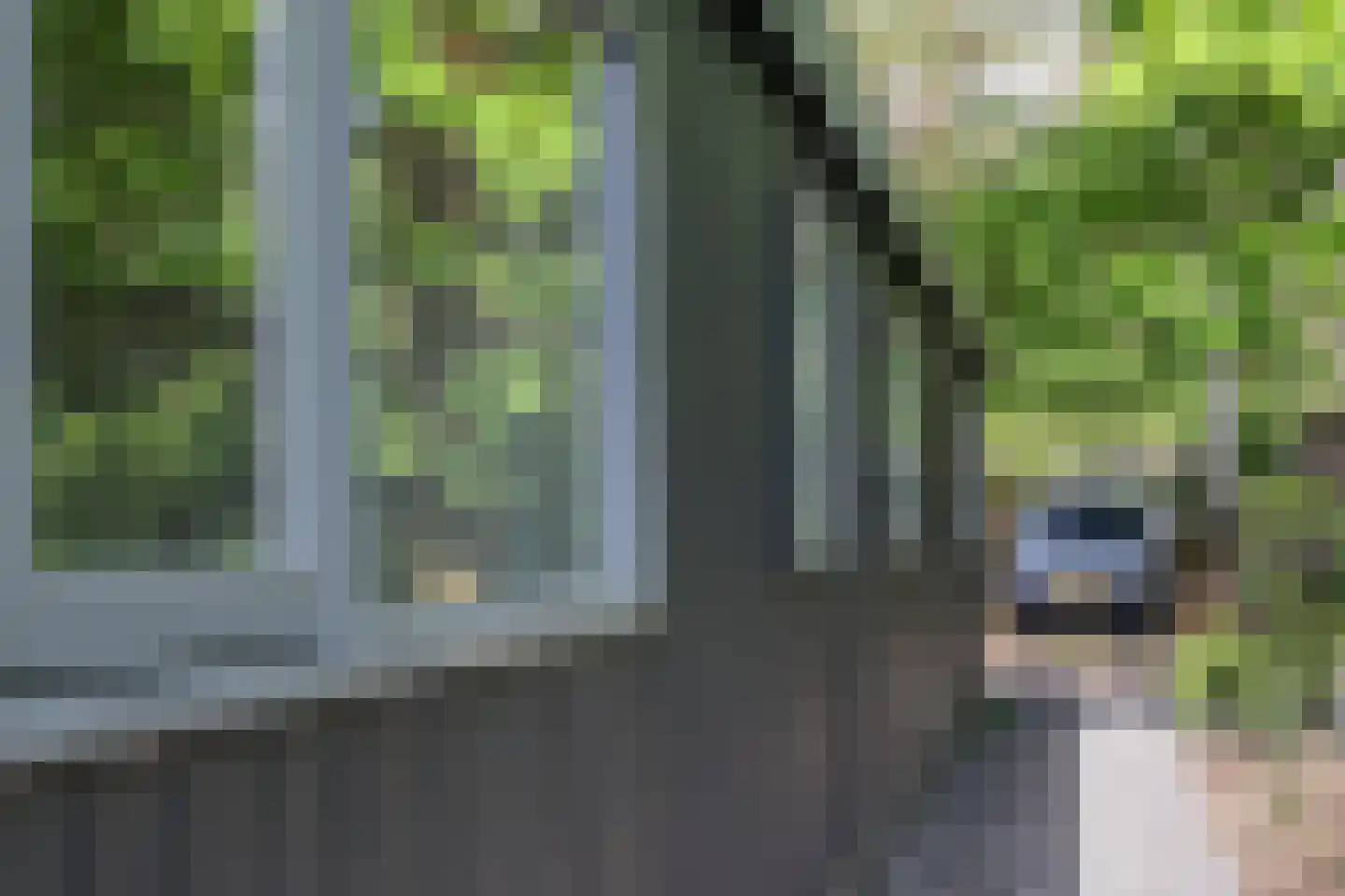 Verlengde Haerderweg 5 R P12 Doornspijk thumbnail 20