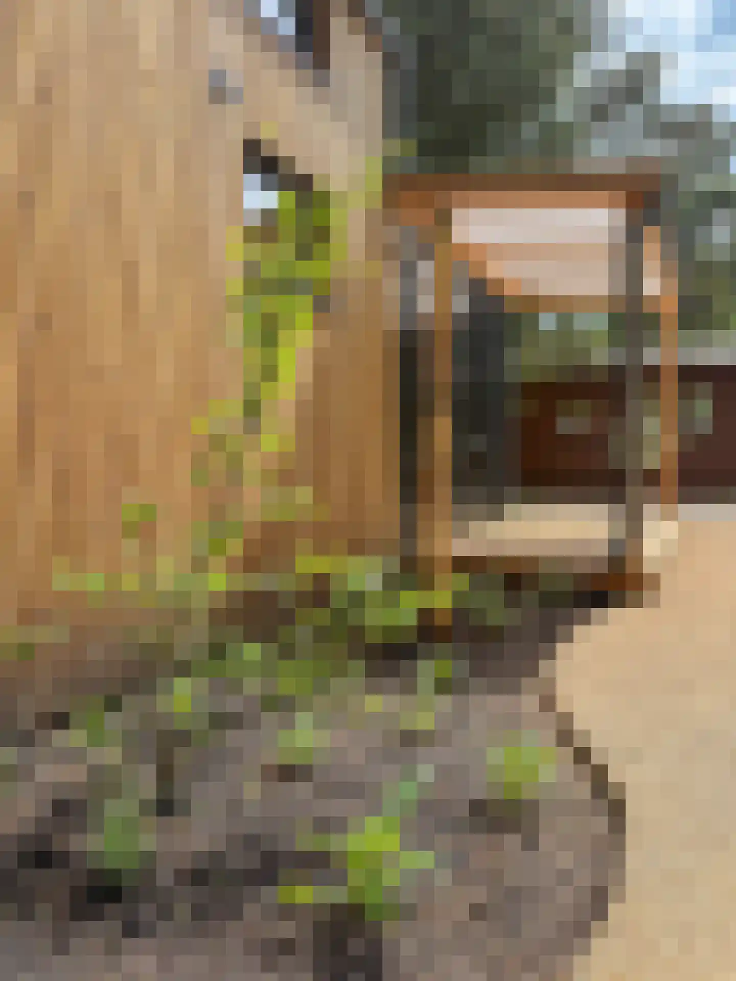 Verlengde Haerderweg 5 R P12 Doornspijk thumbnail 21